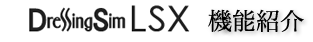 DressingSim LSX機能紹介