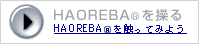 HAOREBA(�n�I���o)��G���Ă݂悤